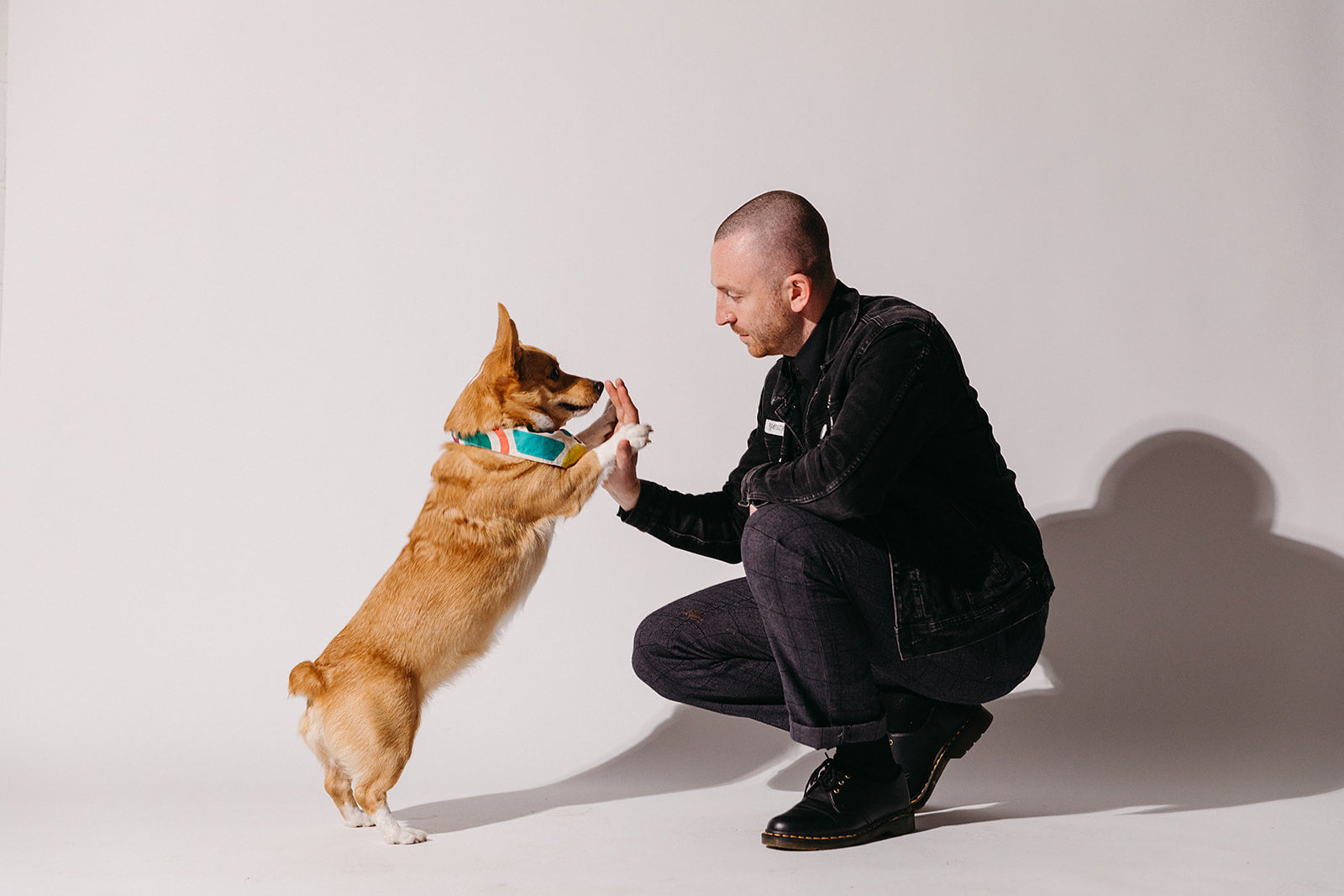 Ways to Keep Your Pup Entertained While Working From Home