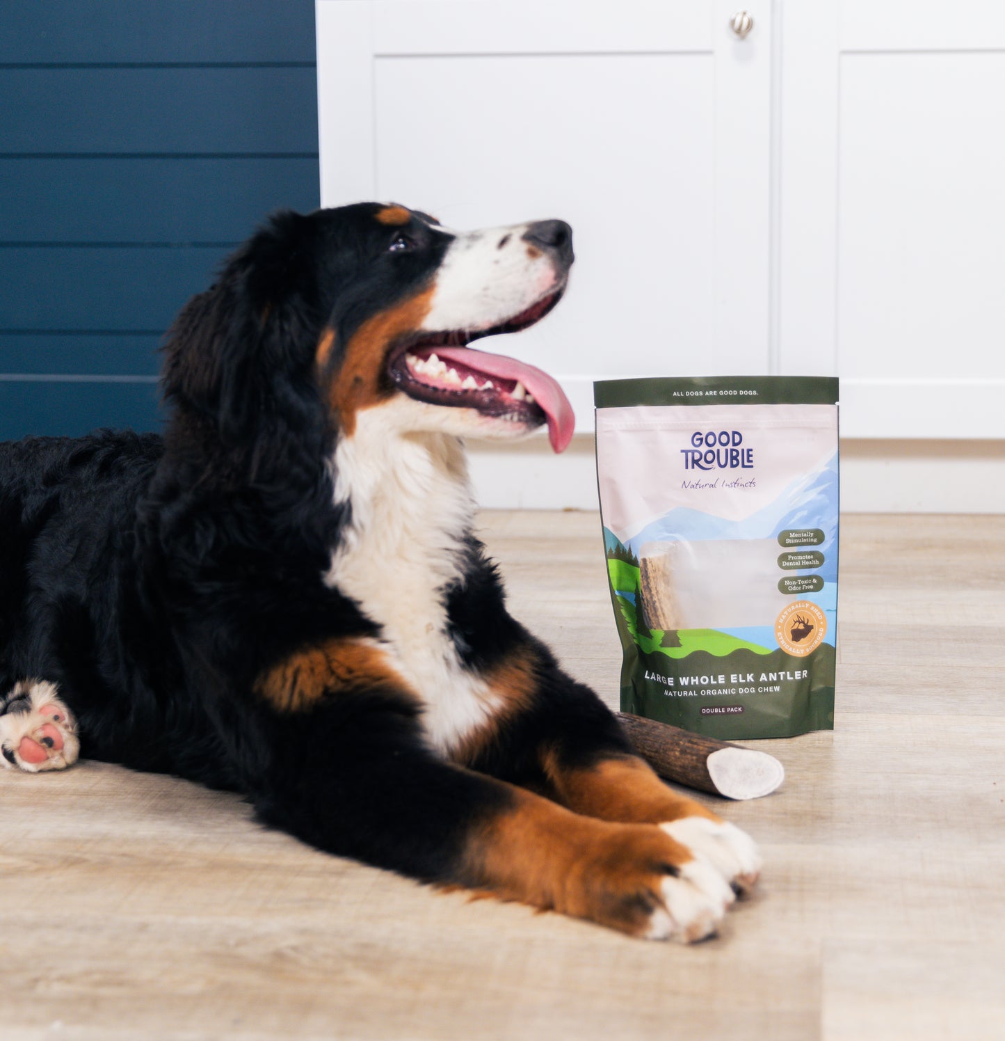 Wild Elk Antler Dog Chews Whole (2 Pack, Large)