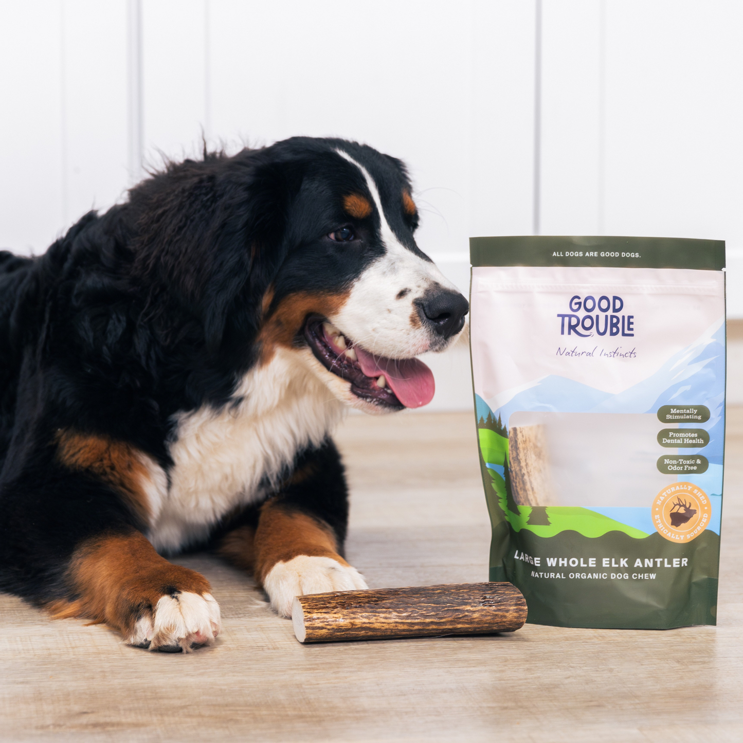 Wild Elk Antler Dog Chew – Whole (Single, Large)