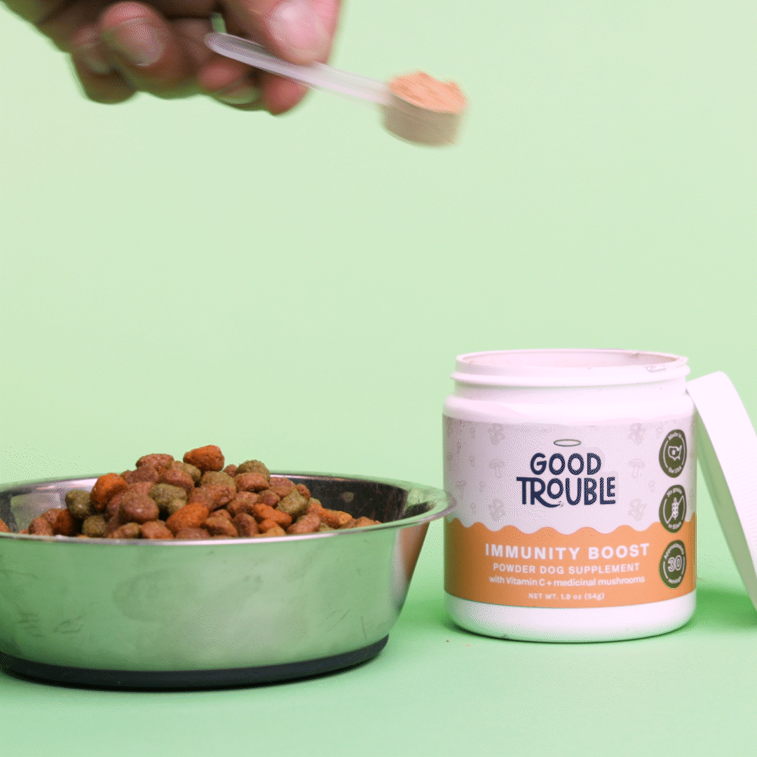 Immunity Boost Mushroom Powder