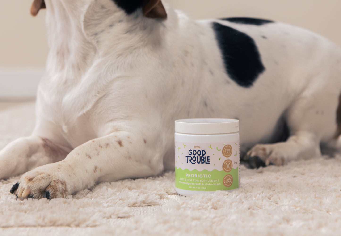 Probiotic Trial