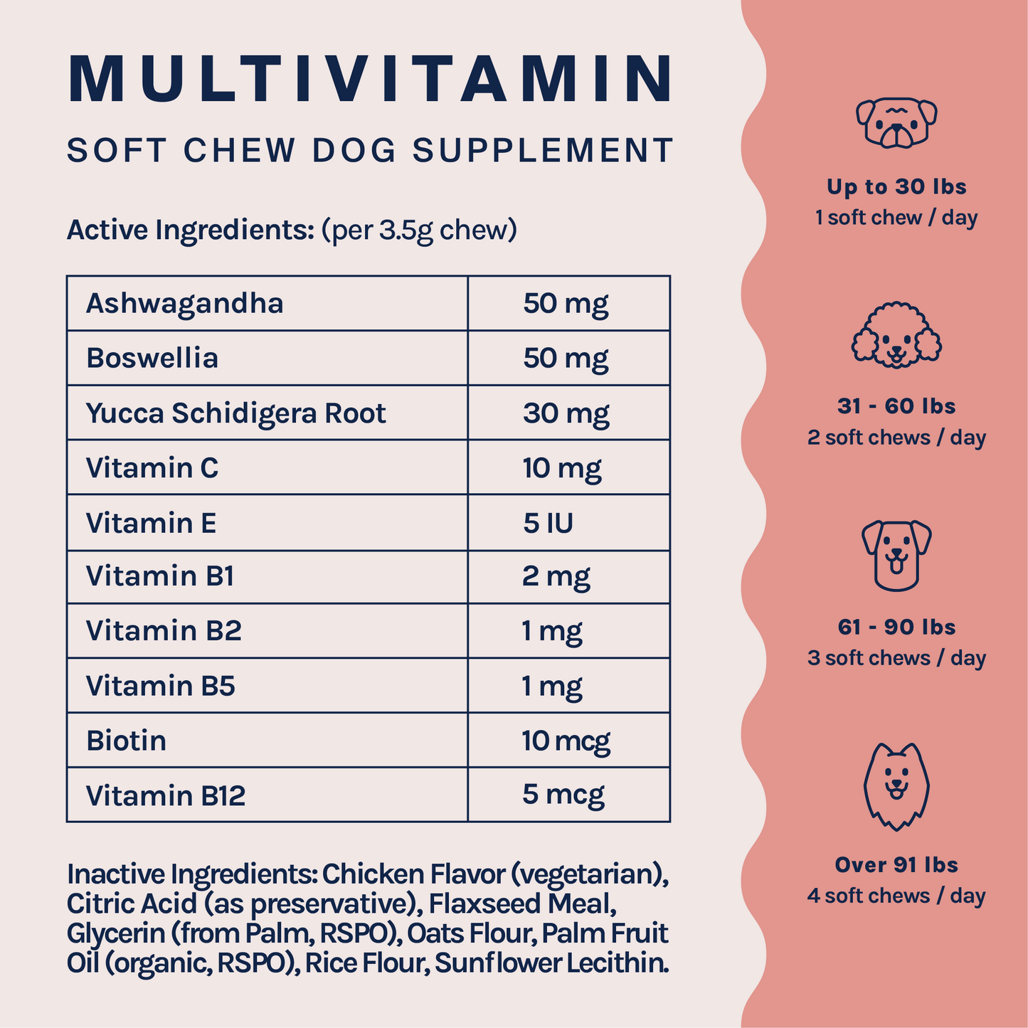 Complete Care Multivitamin