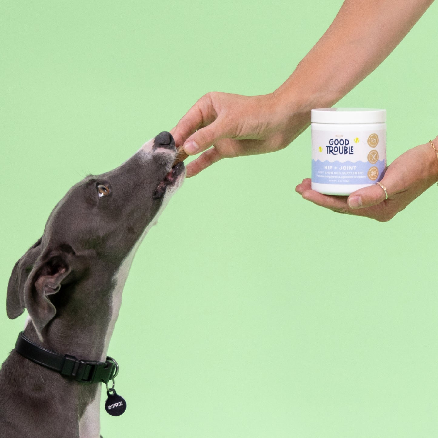 Hip + Joint Soft Chew