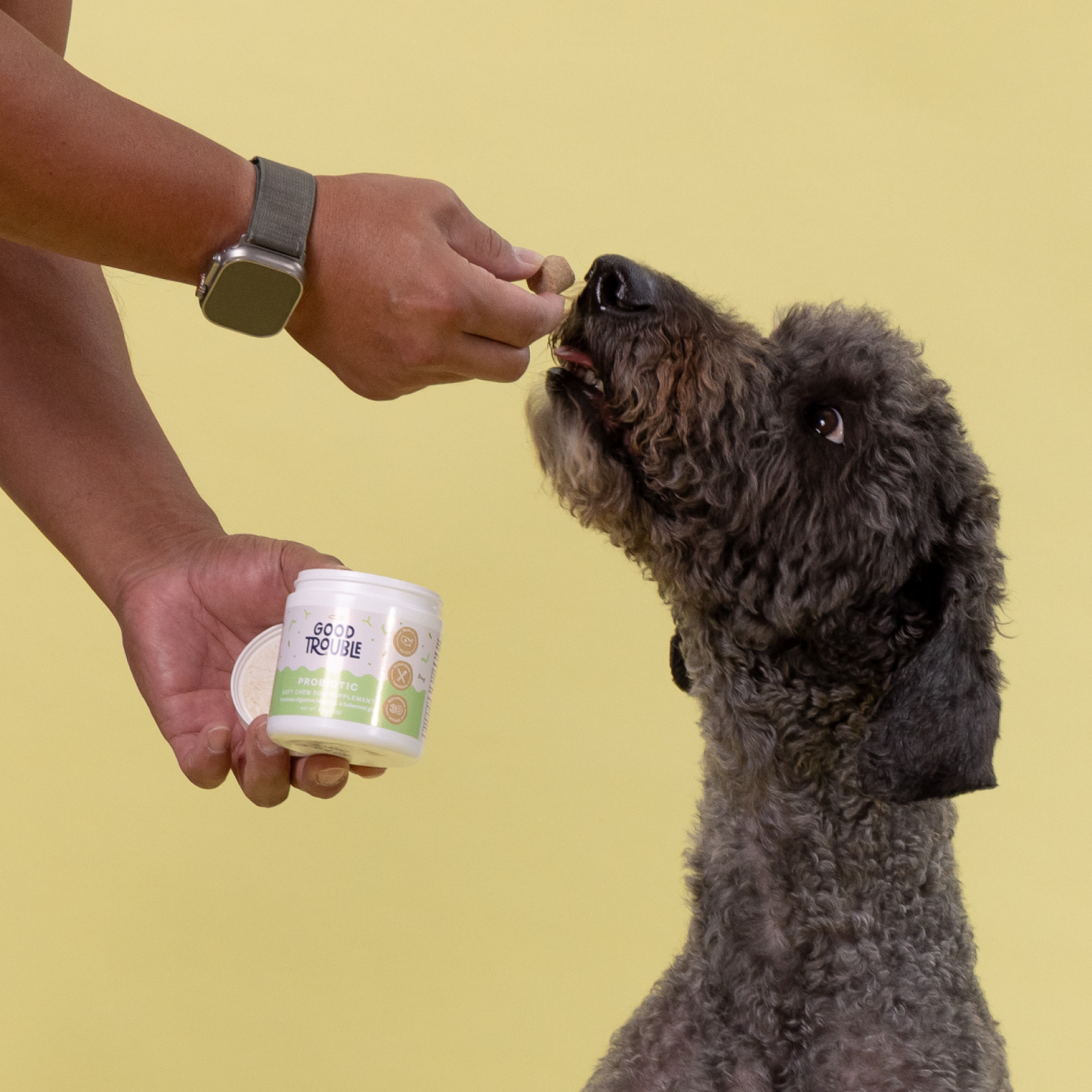 Probiotic Soft Chew
