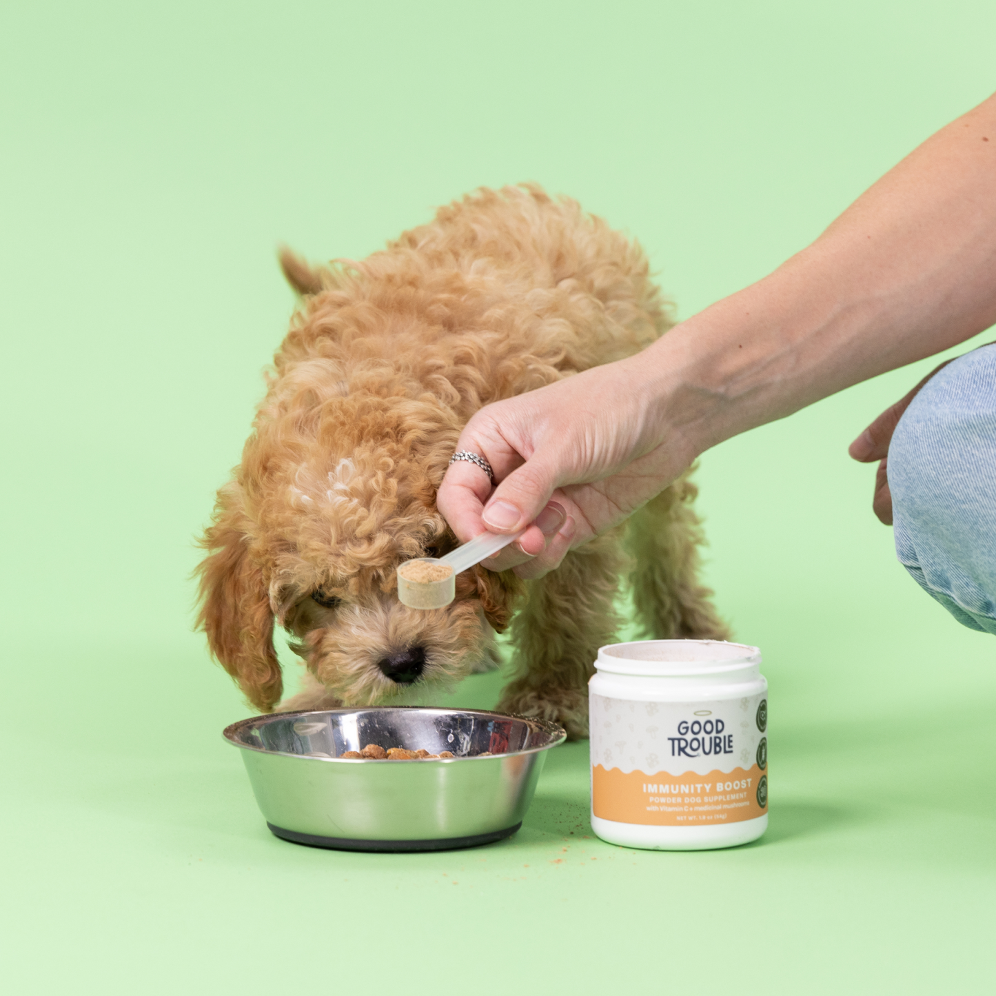 Immunity Boost Mushroom Powder
