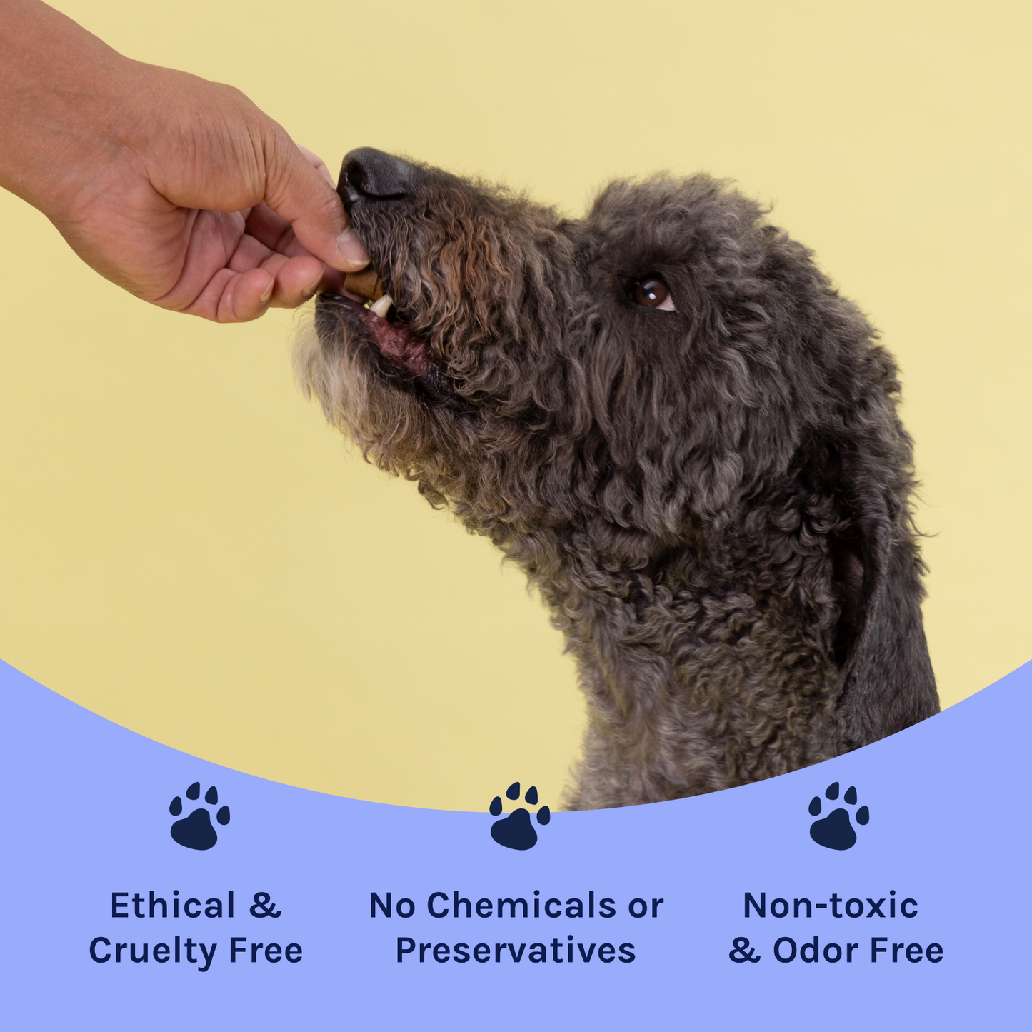 Probiotic Soft Chew