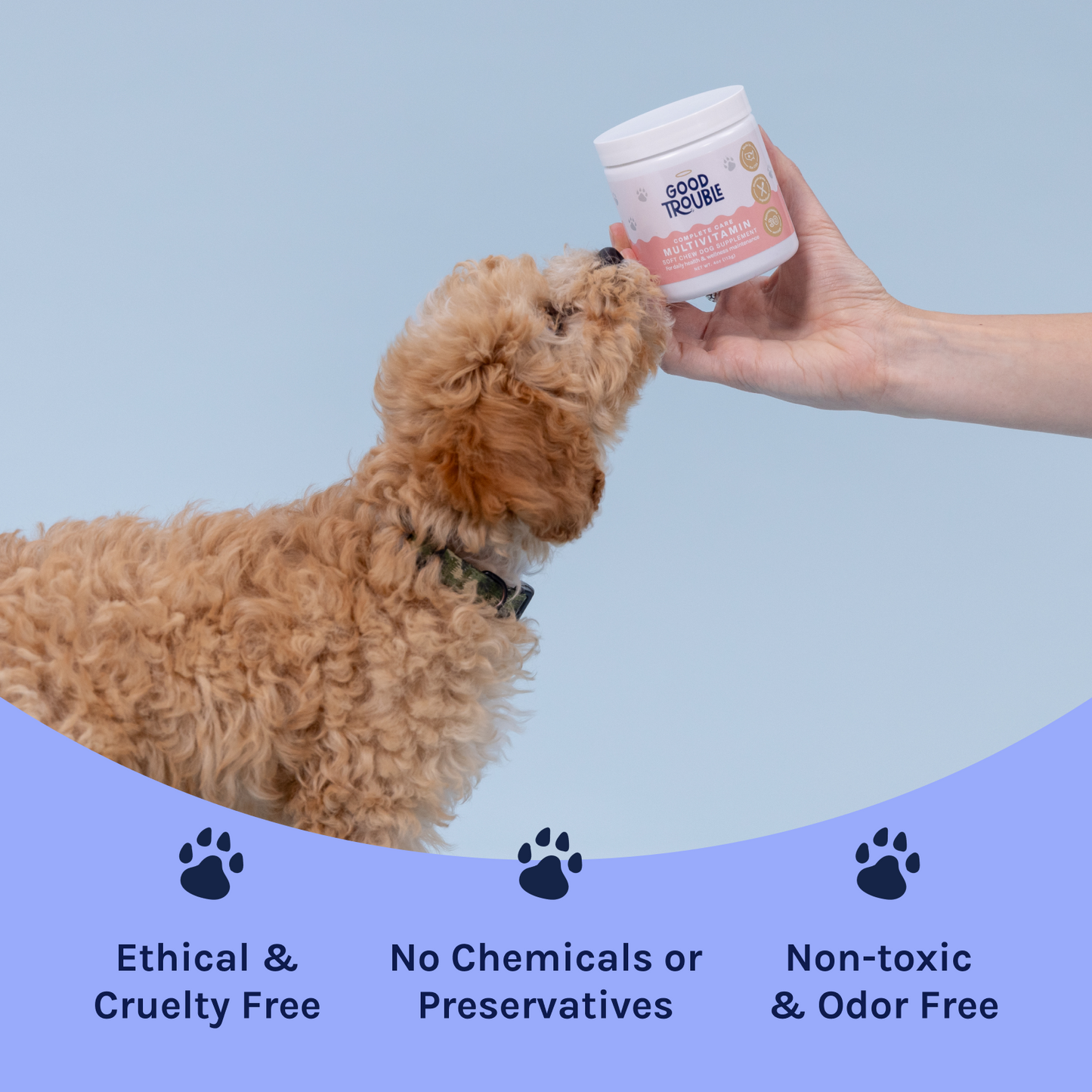 Complete Care Multivitamin Soft Chew
