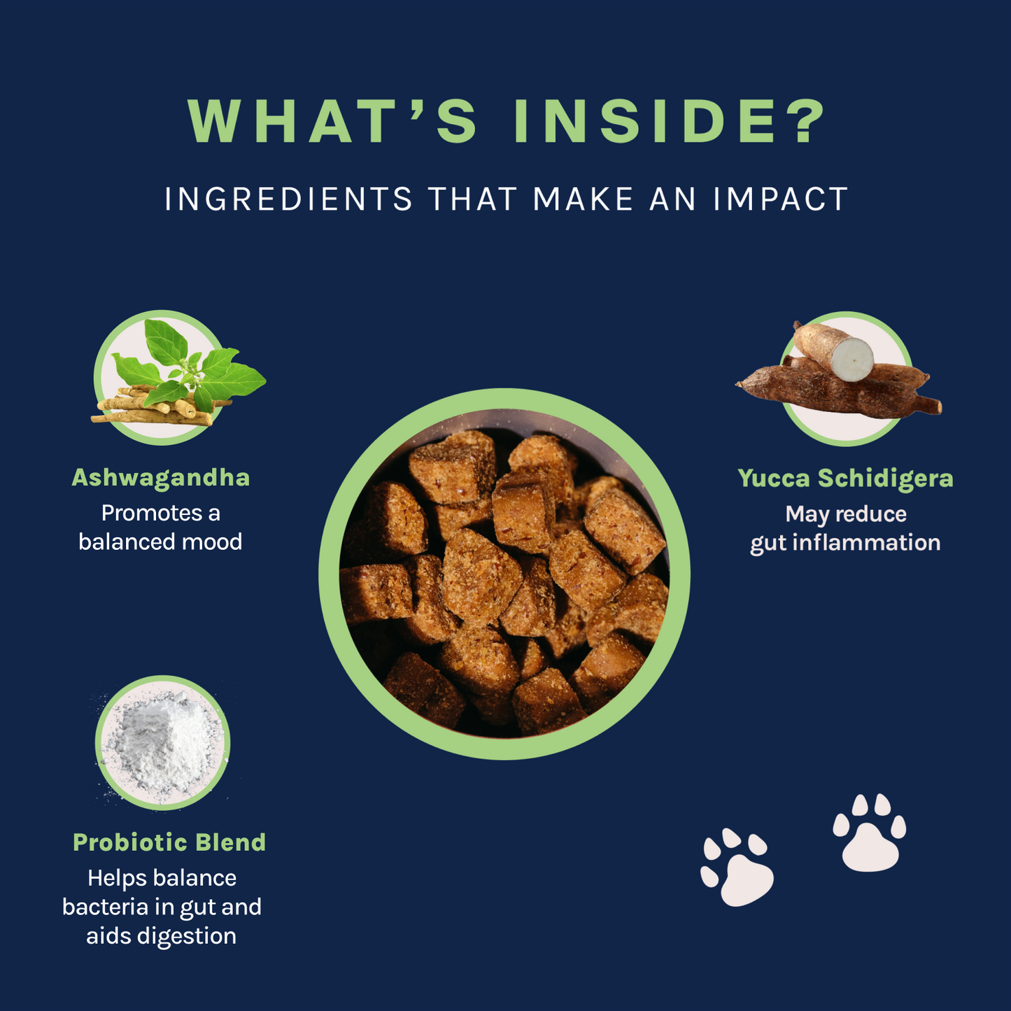 Probiotic Soft Chew