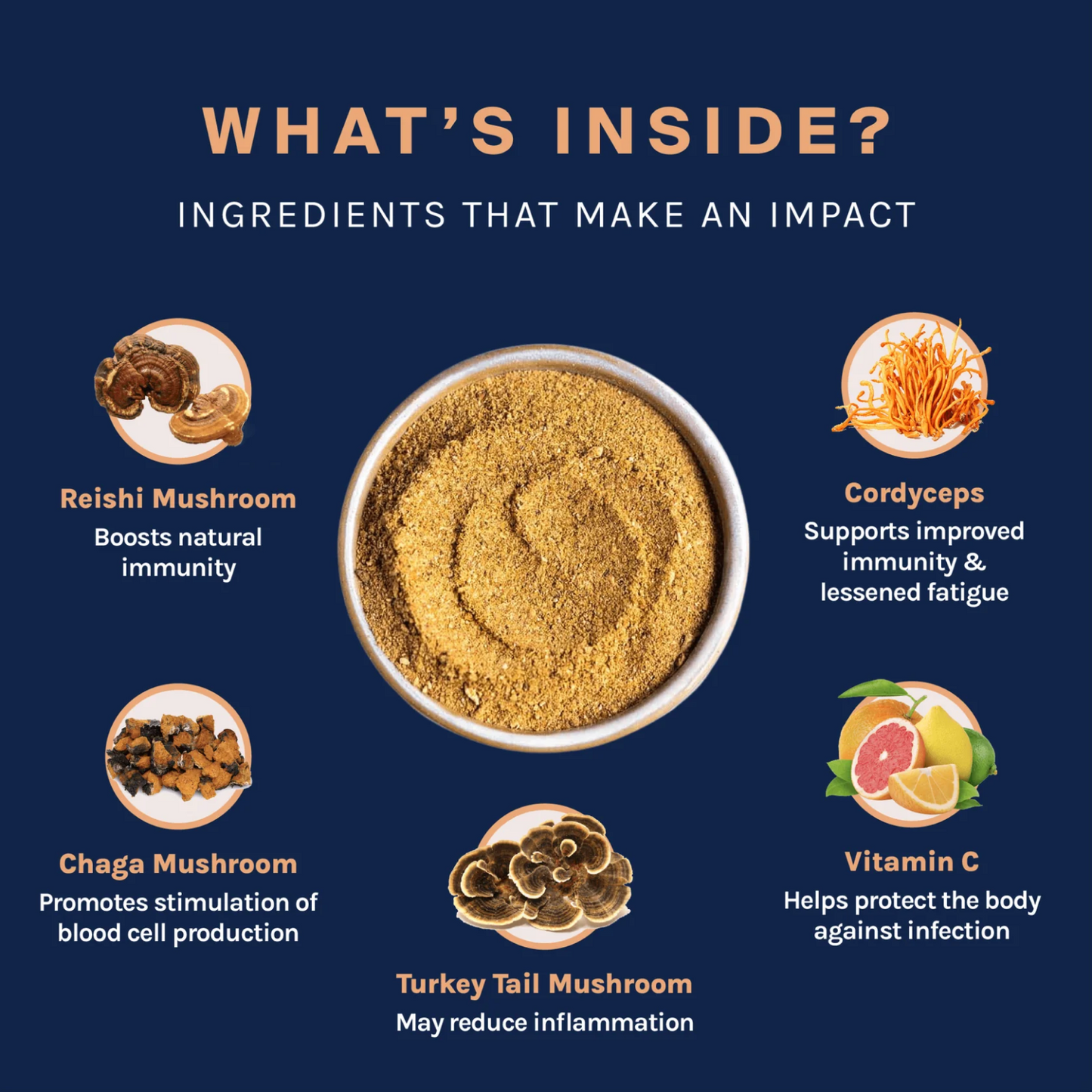 Immunity Boost Mushroom Powder