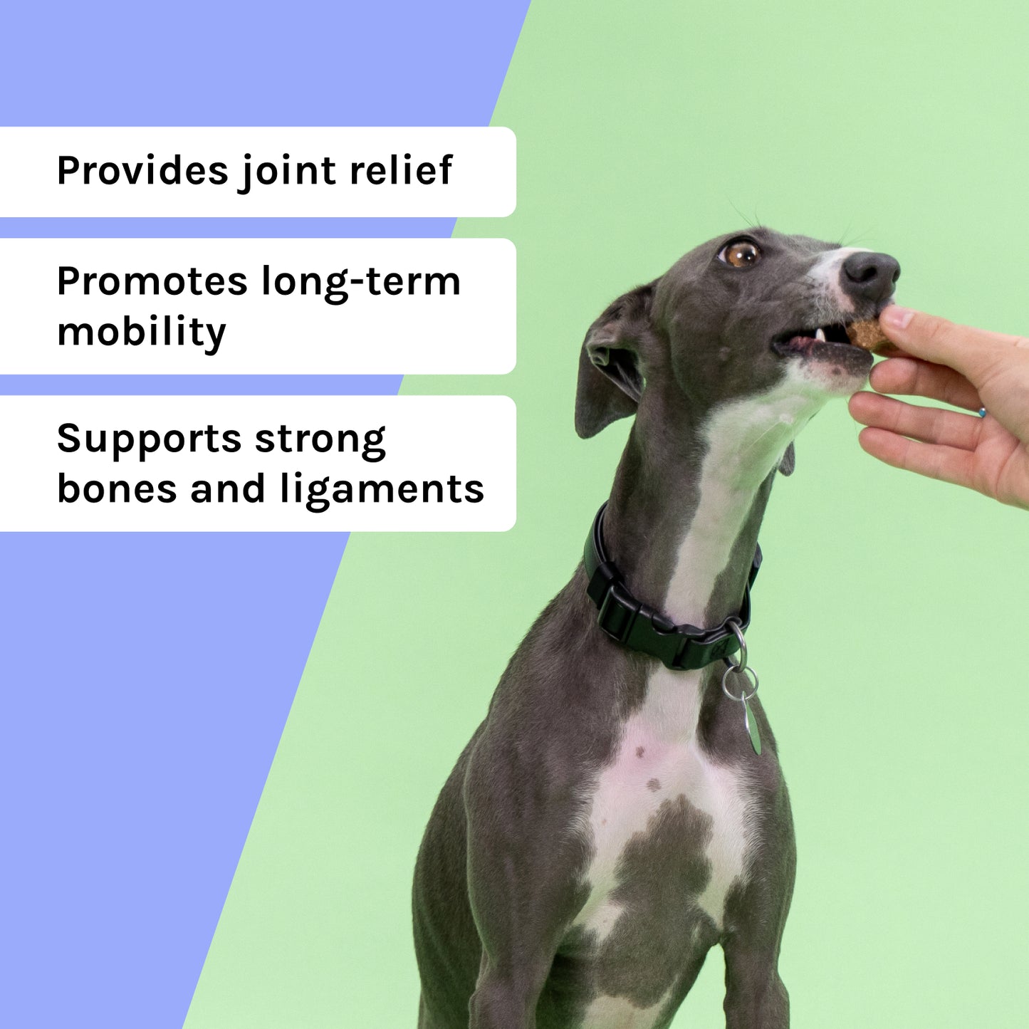 Hip + Joint Soft Chew