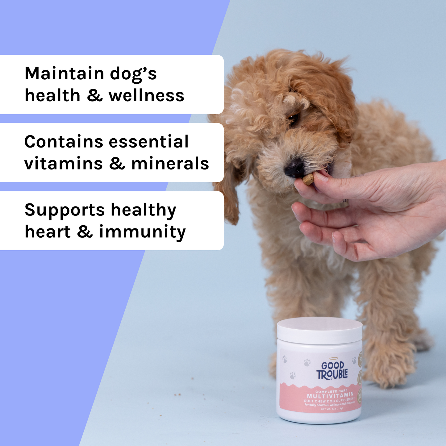 Complete Care Multivitamin Soft Chew