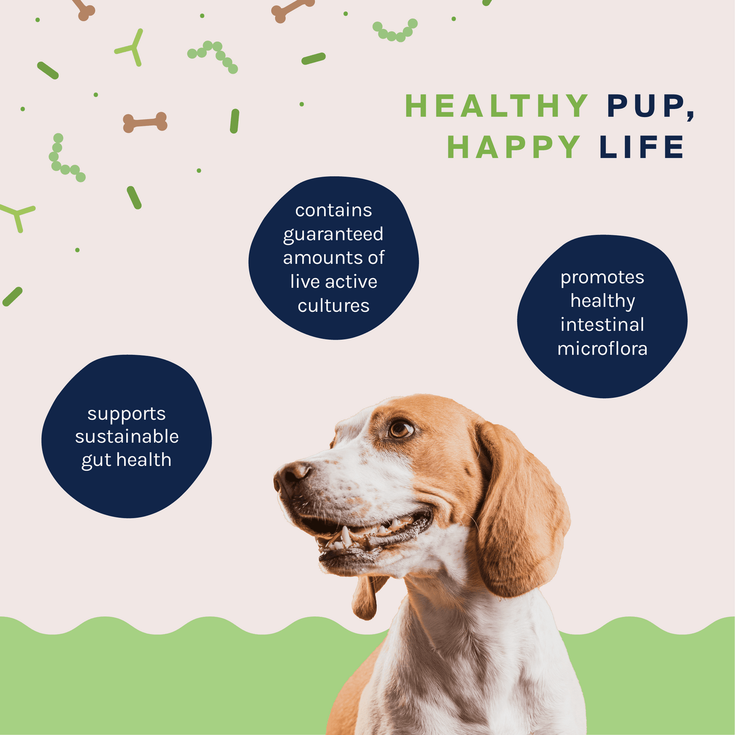 Probiotic Supplement