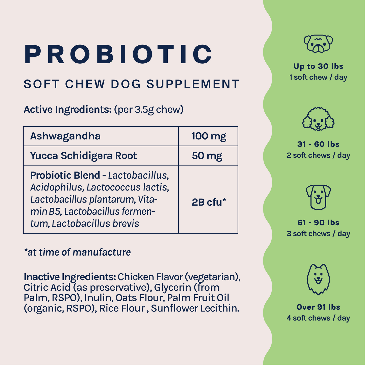 Probiotic Supplement