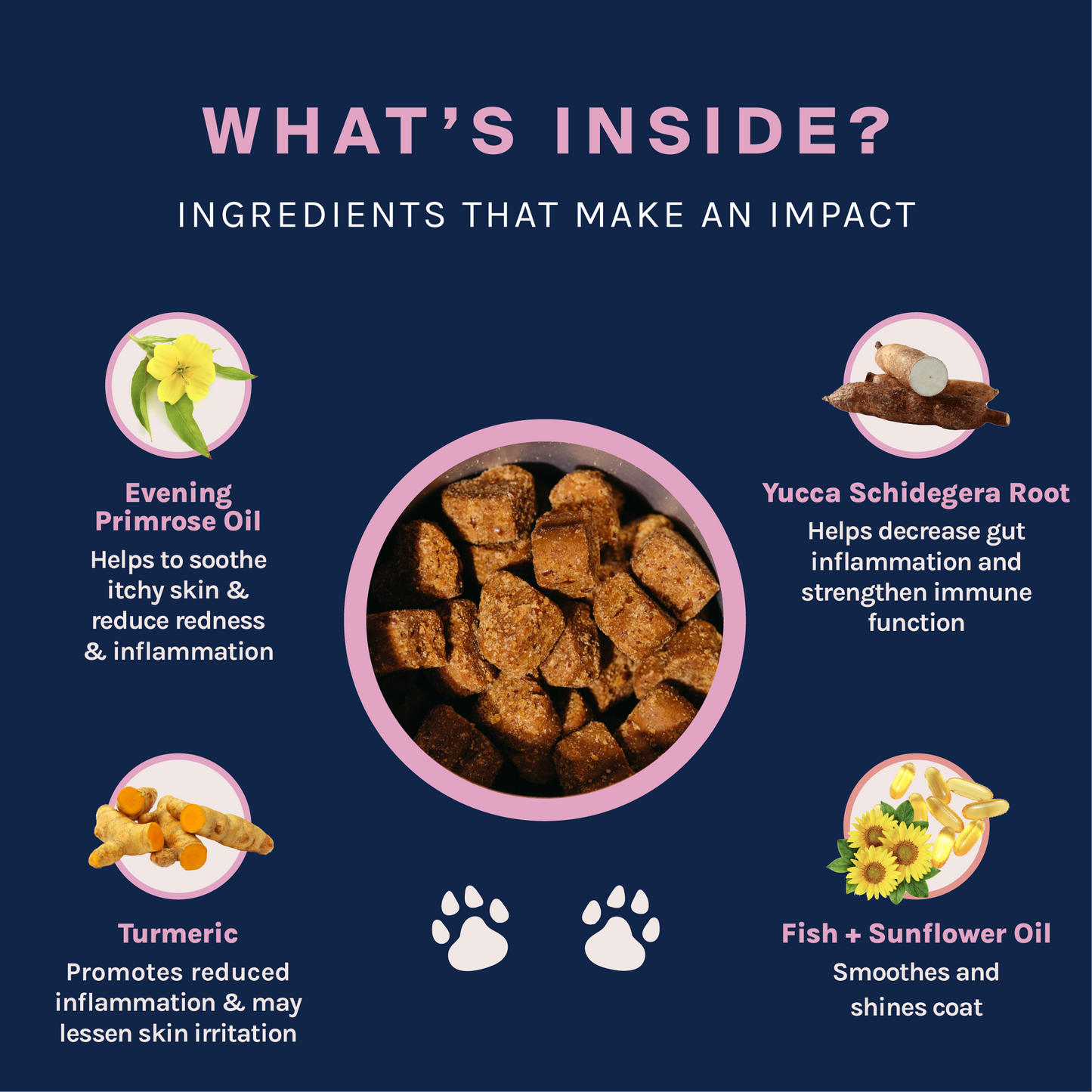 Skin & Coat Supplement