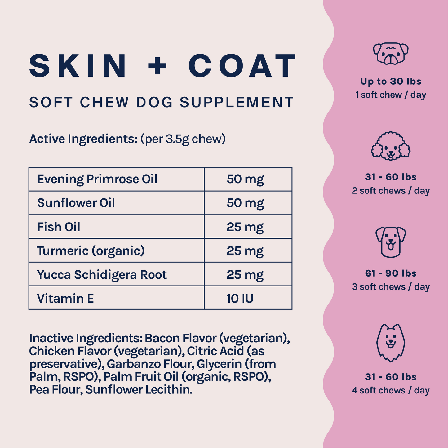 Skin & Coat Supplement