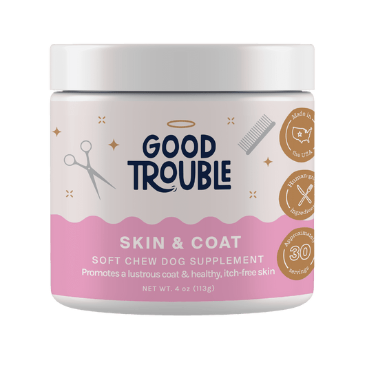 Skin & Coat Supplement