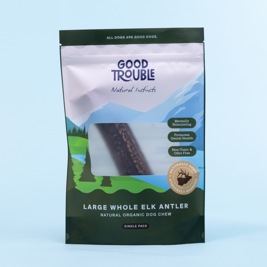 Wild Elk Antler Dog Chew – Whole (Single, Select Size)