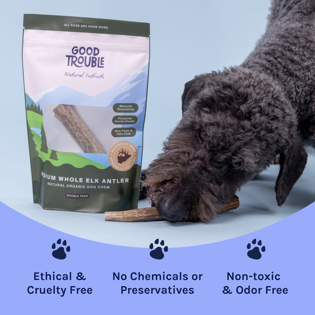 Wild Elk Antler Dog Chew – Small Split (Single)