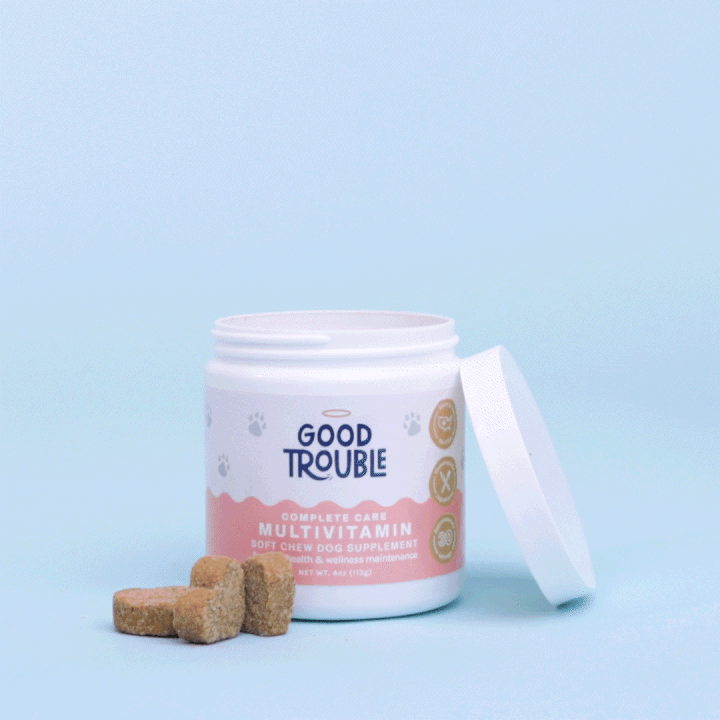 Complete Care Multivitamin Soft Chew