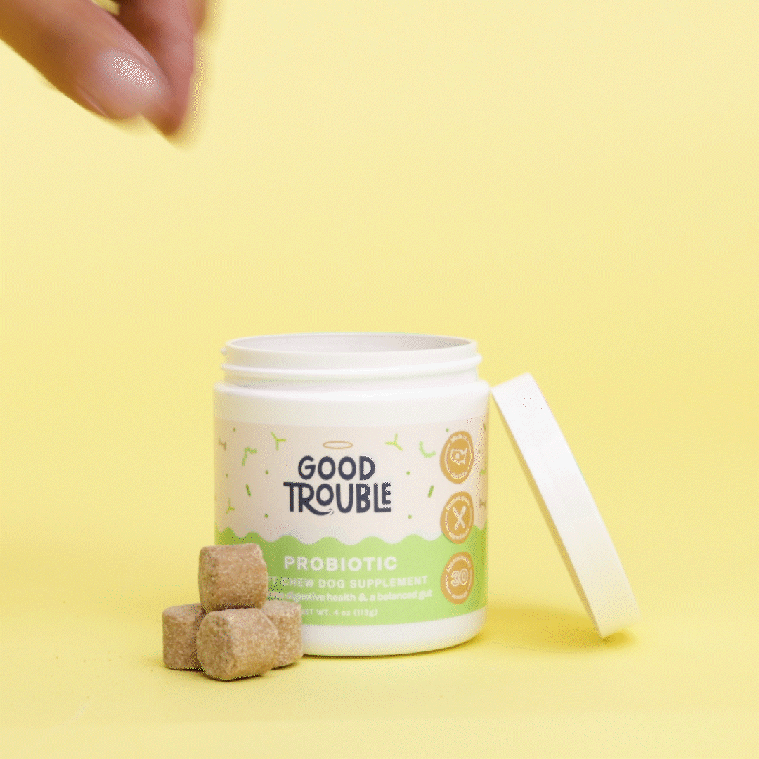 Probiotic Soft Chew