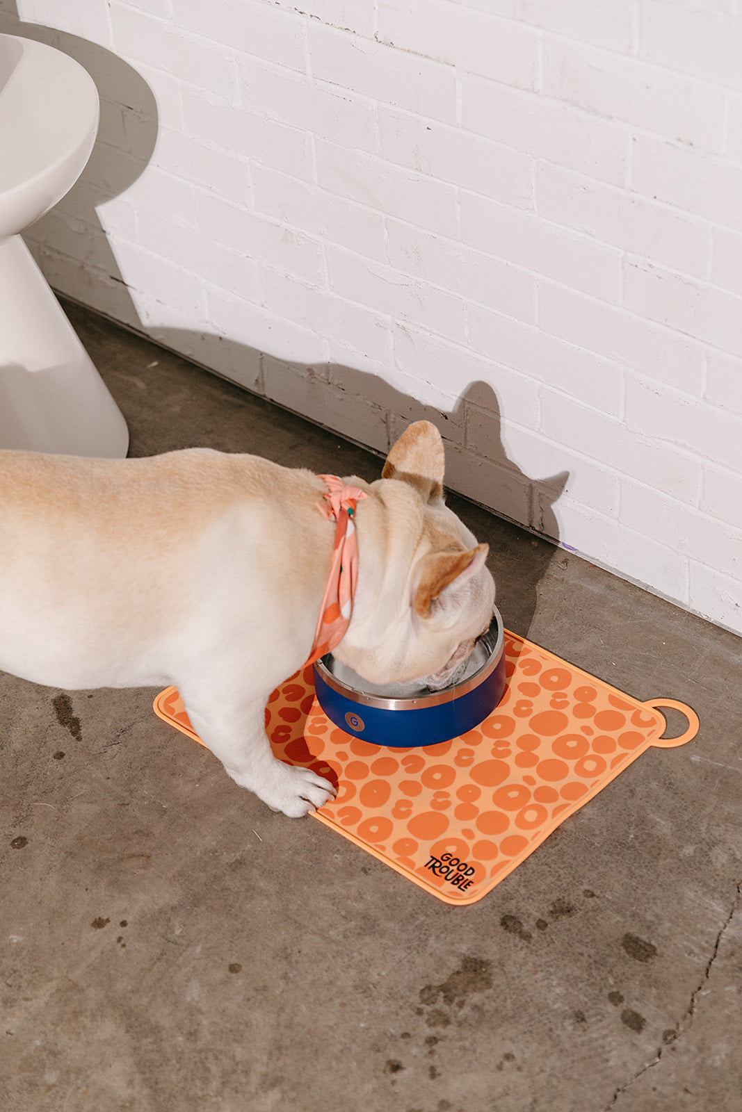 Feeding Mat