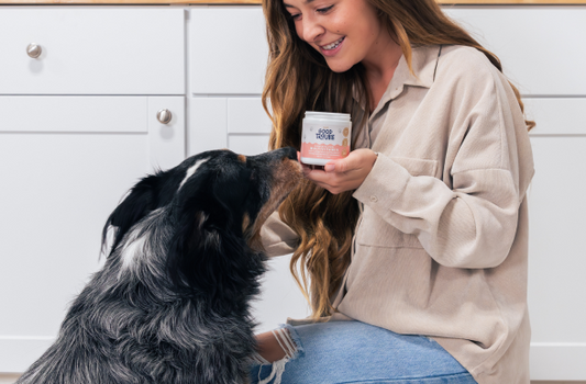 The Complete Guide to Dog Health Problems (and the Supplements That Solve Them)