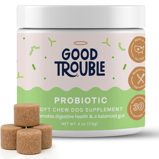 Probiotic Soft Chew