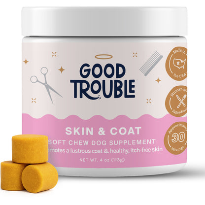 Skin + Coat Soft Chew