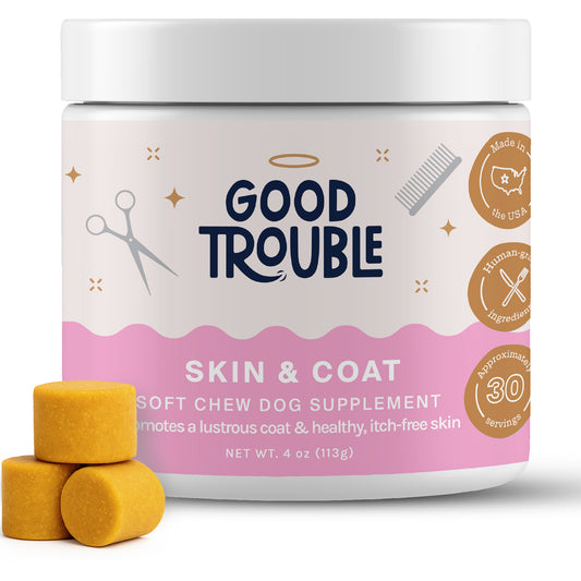 Skin + Coat Soft Chew
