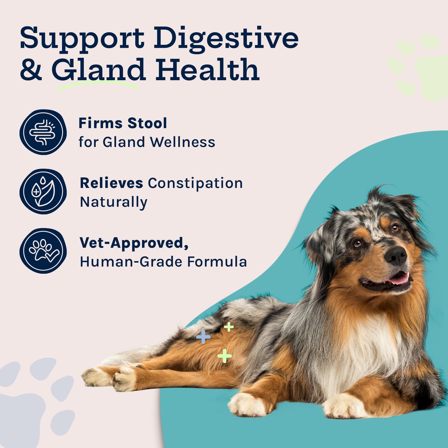 Gland Health