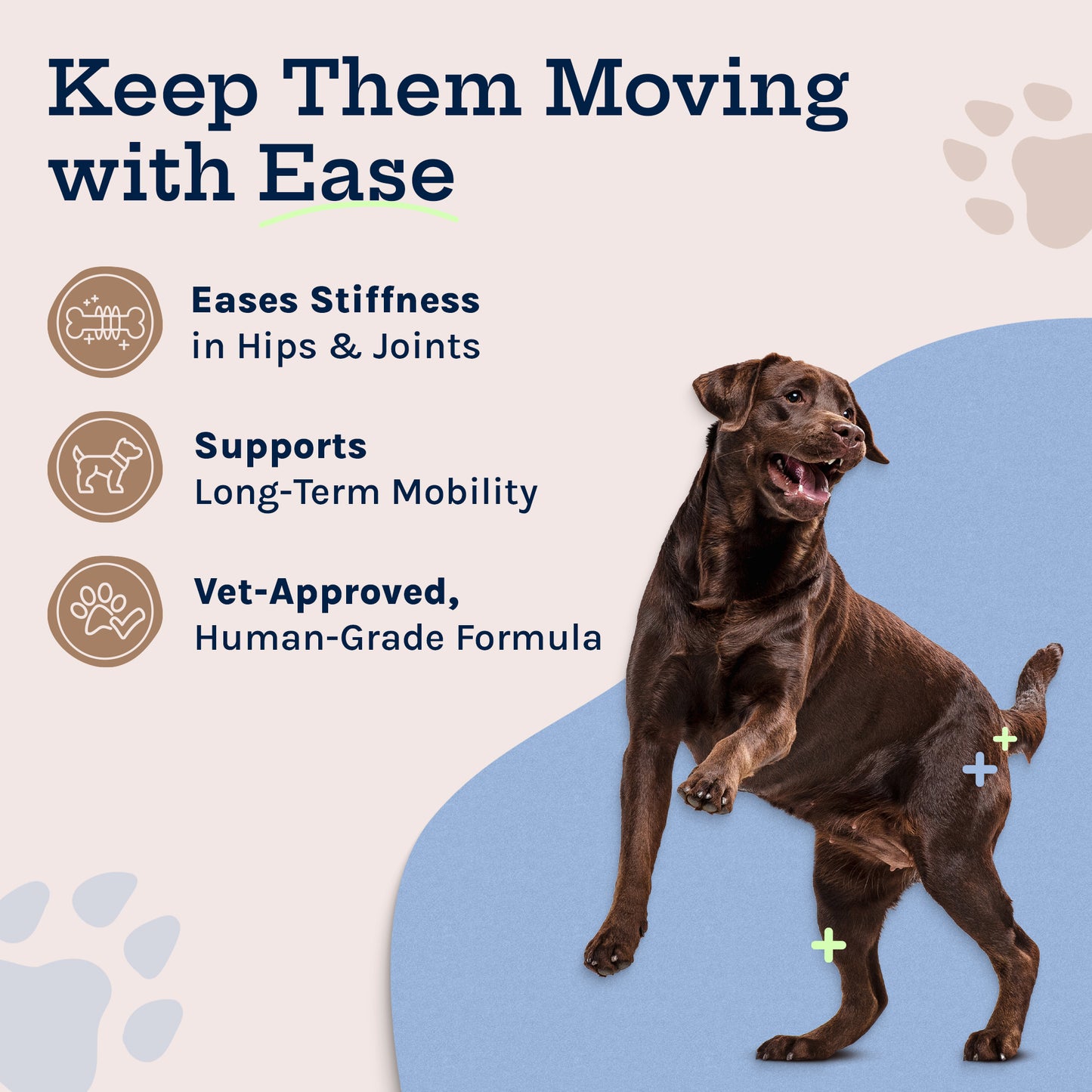 Hip + Joint Soft Chew