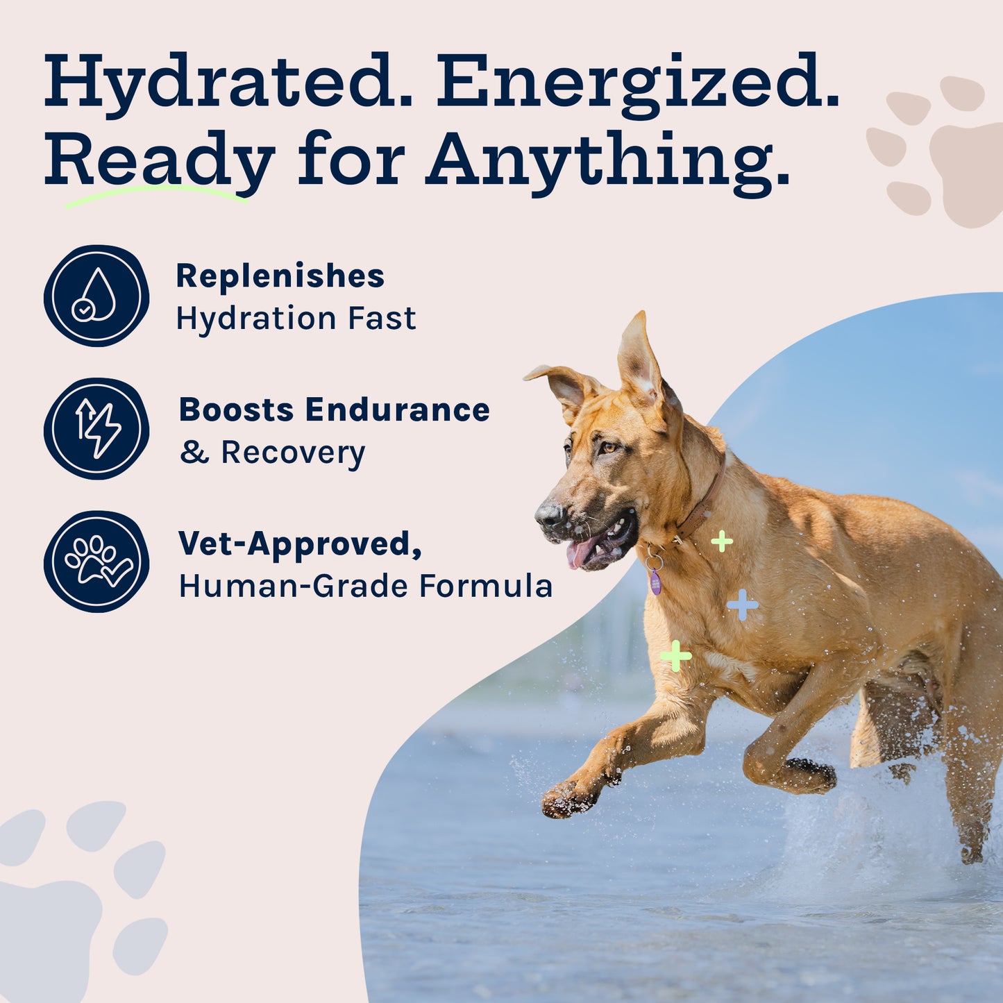 Hydration Powder + Electrolytes