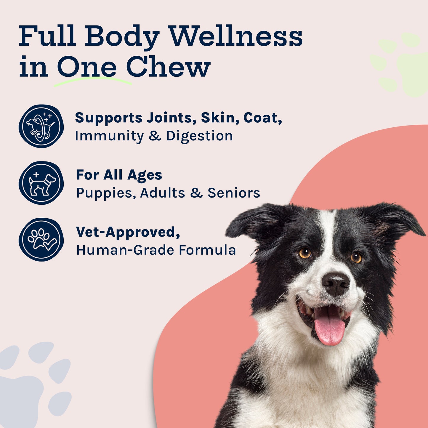 Complete Care Multivitamin Soft Chew