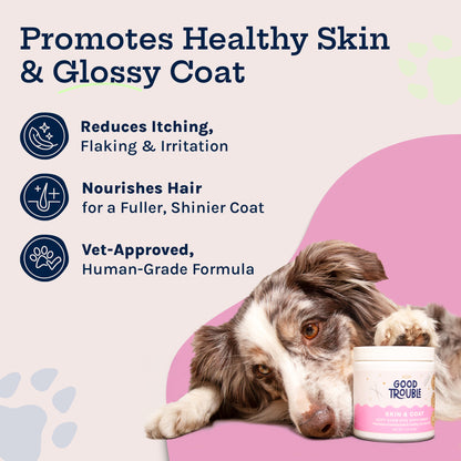 Skin + Coat Soft Chew