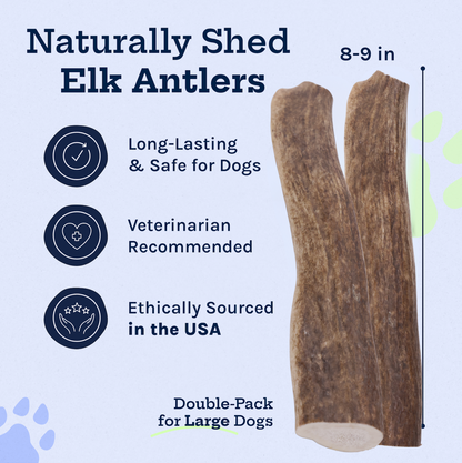 Wild Elk Antler Dog Chews Whole (2 Pack, Large)