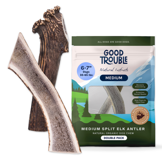 Wild Elk Antler Dog Chews – Medium  Split (2 Pack)