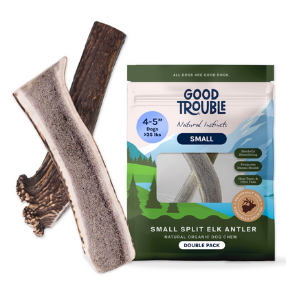 Wild Elk Antler Dog Chews – Small Split (2 Pack)