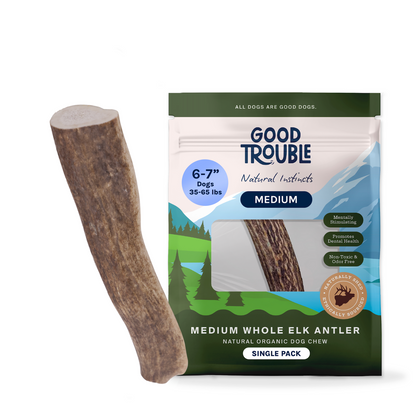 Wild Elk Antler Dog Chew – Whole (Single, Medium)