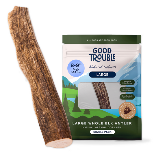Wild Elk Antler Dog Chew – Whole (Single, Large)