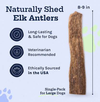 Wild Elk Antler Dog Chew – Whole (Single, Large)