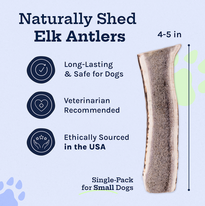 Wild Elk Antler Dog Chew – Small Split (Single)