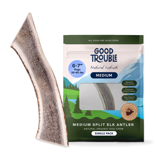 Wild Elk Antler Dog Chew – Medium Split (Single)