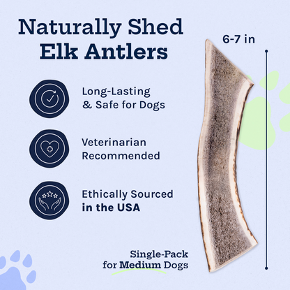 Wild Elk Antler Dog Chew – Medium Split (Single)