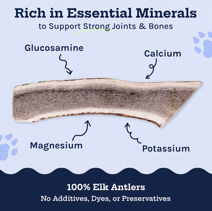 Wild Elk Antler Dog Chew – Medium Split (Single)