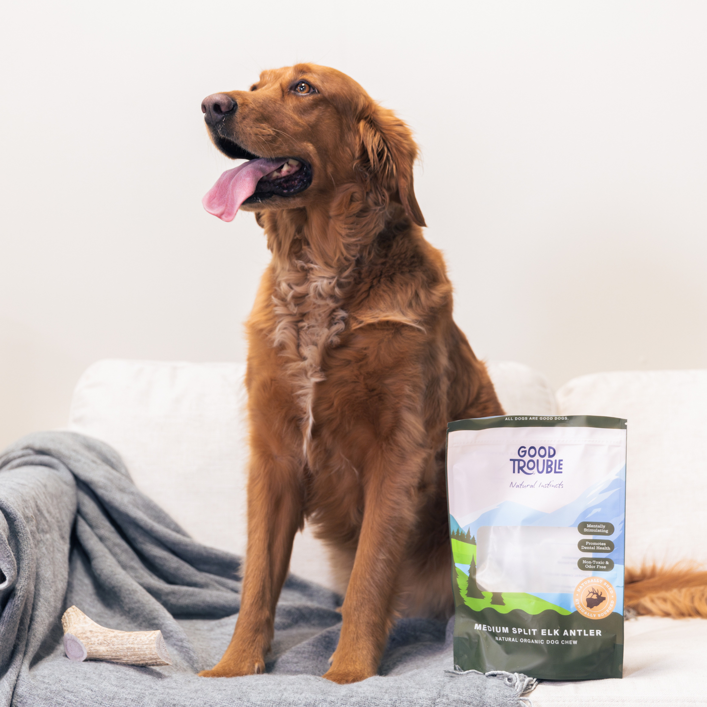 Wild Elk Antler Dog Chew – Medium Split (Single)