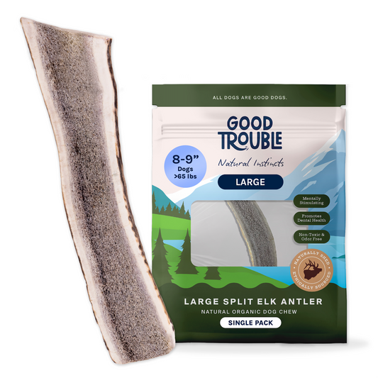 Wild Elk Antler Dog Chew – Large Split (Single)