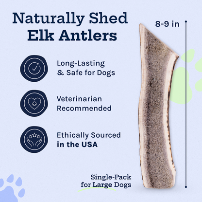 Wild Elk Antler Dog Chew – Large Split (Single)