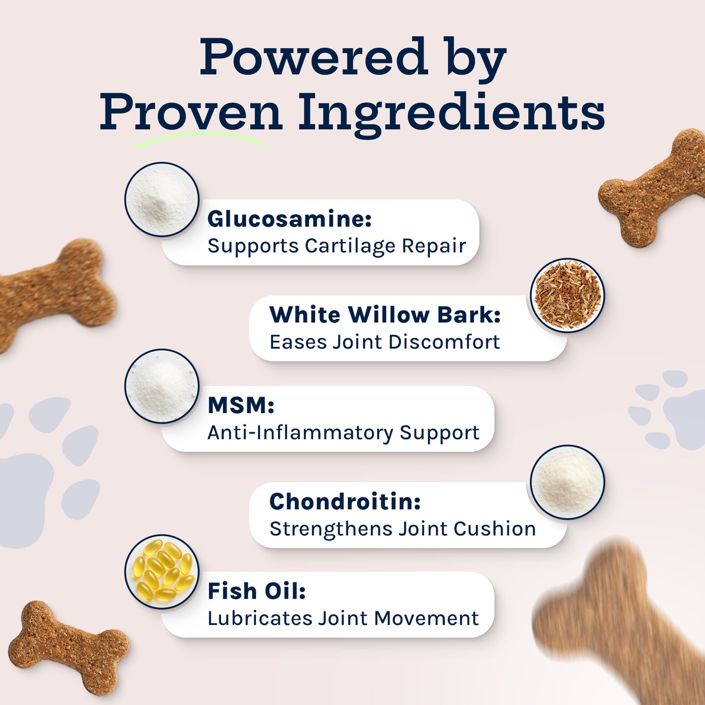 Hip + Joint Soft Chew