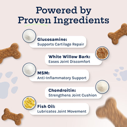 Hip + Joint Soft Chew