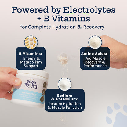 Hydration Powder + Electrolytes